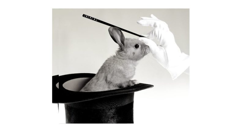 why do magicians use bunnies